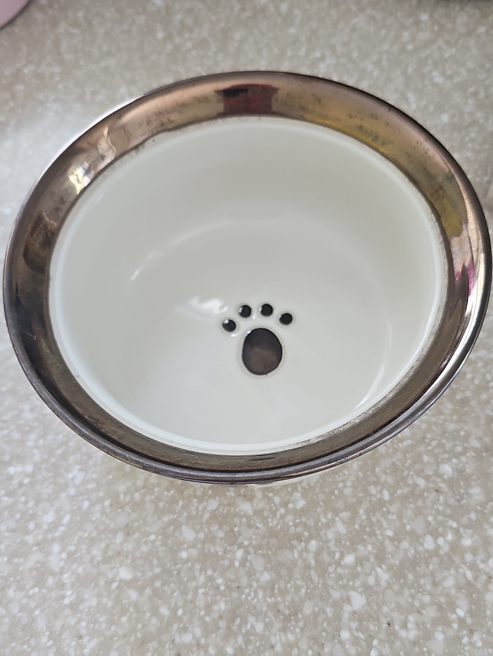 Metallic Paws - Ceramic Pet Bowl with Copper Rim and Paw Detail